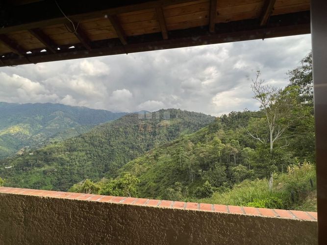 Finca en Arriendo en San jose, Bucaramanga - Miniatura 7