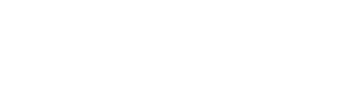 Web Profesional