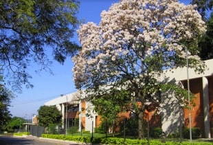 Venta en San Pablo
