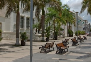 Alquiler en Santa Cruz