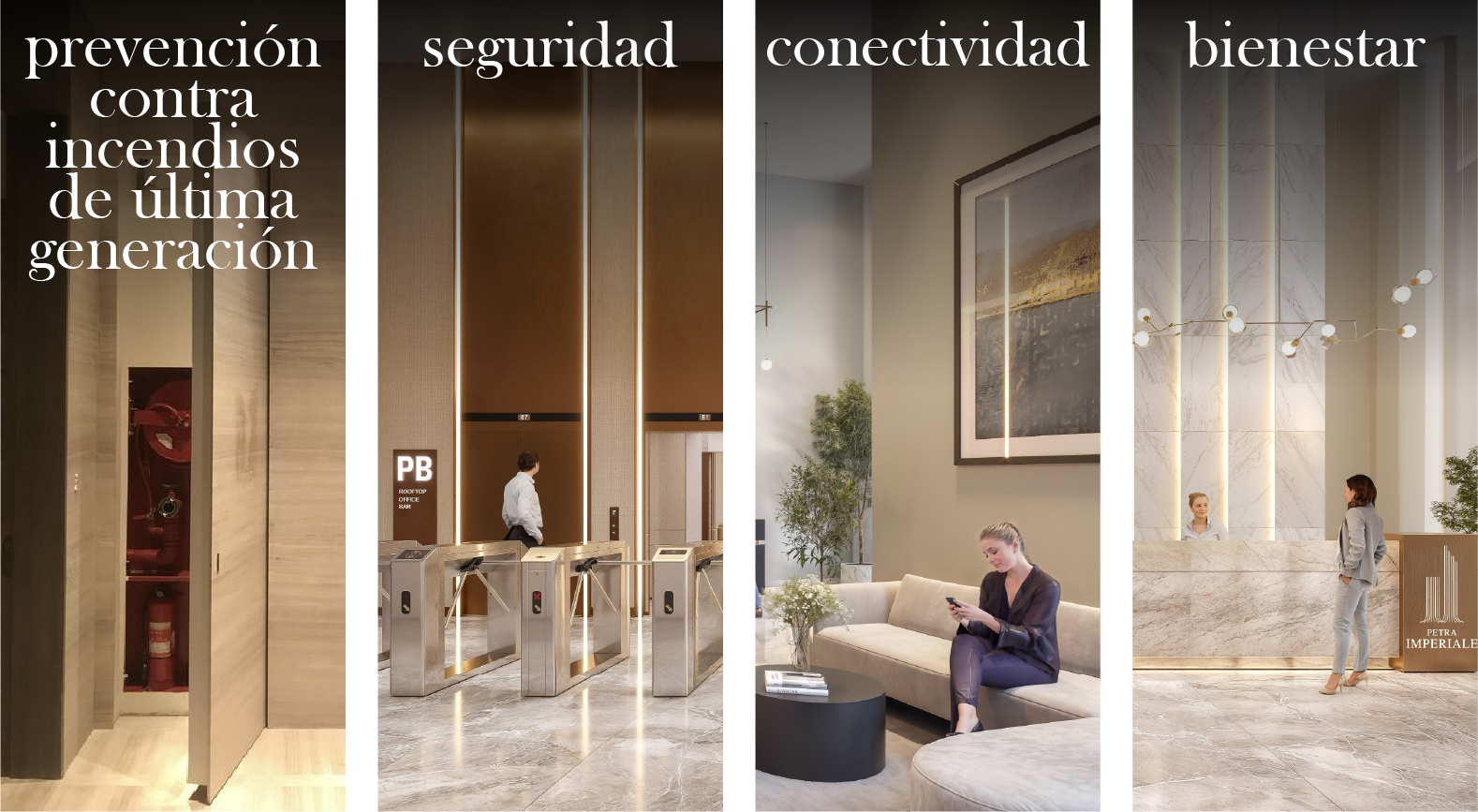 Descripción 8