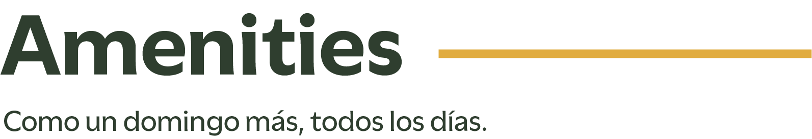 Amenidades T