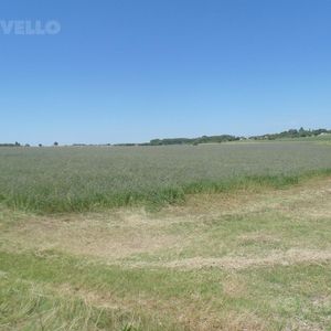 Venta Campo Carmelo Ruta 21