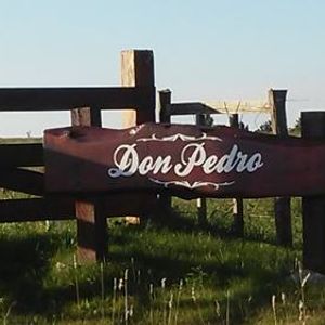 Terreno De 1,2 Hectárea,,residencia O Inversión.,,u$$ 60000
