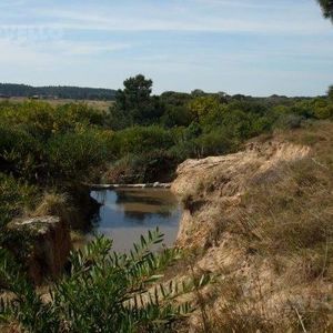 Terreno - La Pedrera