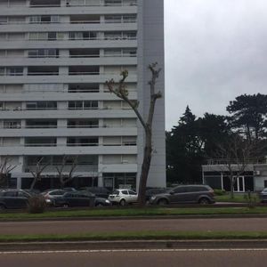 Apartamento - Roosevelt