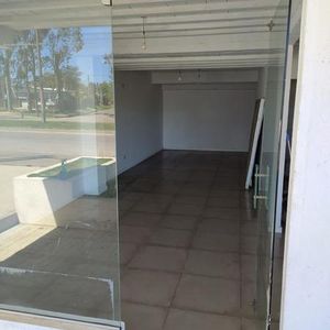Local - Maldonado