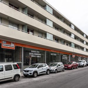 Local - Palermo