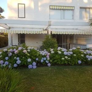 Apartamento - Playa Mansa