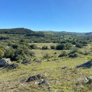 Chacra En  Pueblo Edén 
