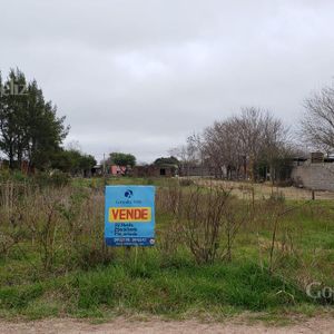 Terreno - Carmelo