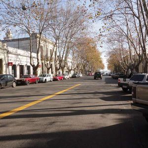 Excepcional Local Comercial De Grandes Dimensiones Sobre Gral Flores(barrio Historico)