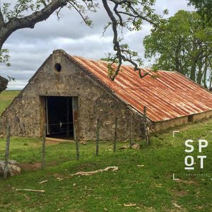 Campo 1380 Ha En Treinta Y Tres