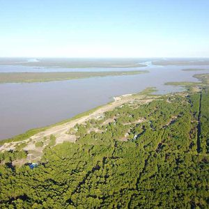 El Faro  Lote 278