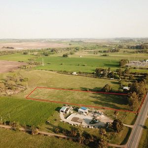 1 - Colonia- Ruta 21 Km 183 - 1 Ha.