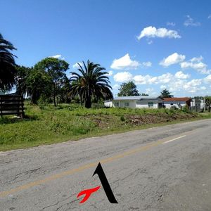 Federico Fischer - Nueva Helvecia