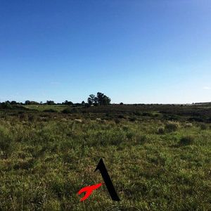 1 - Ruta 1 - 5 Has  Rosario - Colonia