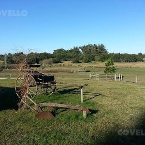 Espectacular Chacra De 5 Hectareas, Con Costa A La Laguna De Los Cisnes, Con Embarcadero Propio.