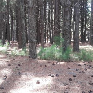 Terreno, Barrio Cerrado, Playa, Seguridad, Puerto