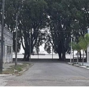 Terreno Frente Al Río Nueva Palmira
