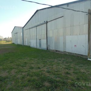 Galpón, Acceso Por Dos Calle, Ingreso Directo Desde Ruta 21 Del Norte.