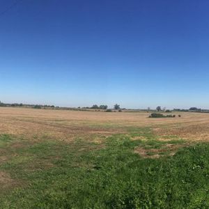 Campo En Martin Chico, Buena Tierra Productiva, Zona En Desarrollo