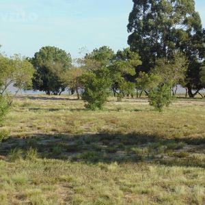 Solar En Venta En Primera Línea En Balneario Zagarzazú Carmelo