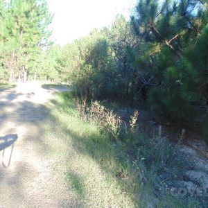 Terreno Arbolado En Venta En Balneario Zagarzazú Carmelo