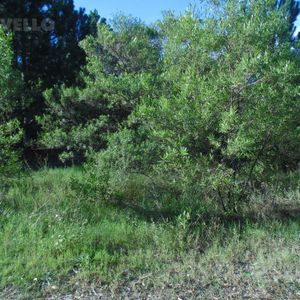 Terreno En Venta En Balneario Zagarzazú Carmelo