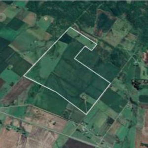 Campo Agricola Carmelo Colonia