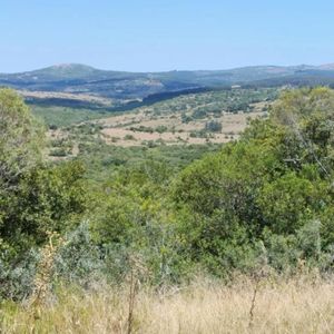 Chacra En Pueblo Eden 7 Hectáreas. Ruta 12