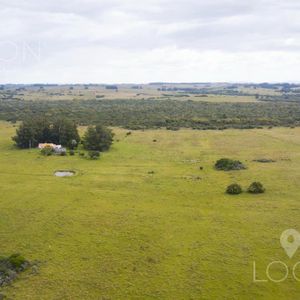 Venta Chacra 19 Hectáreas, Sainz Martinez