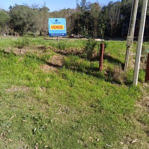 Terreno En  Punta Gorda A 150m De La Laguna Solis