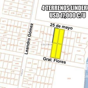 Venta Terrenos