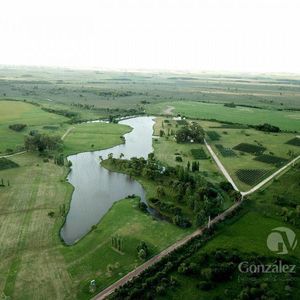 Terreno En Colonia Estrella