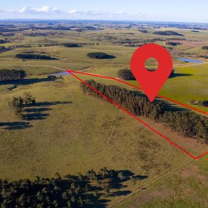 Venta Chacra 5 Hectáreas, Altos De José Ignacio