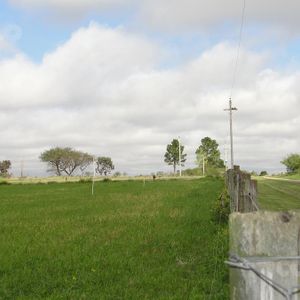 Terreno En Zona De San Pedro, Muy Buena Ubicación, Campo Productivo.