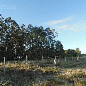 Exclusivo Terreno De 8 Hectáreas En Carmelo: Inversión Ideal Con Potencial De Desarrollo.