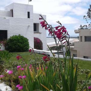 Casa - Solanas