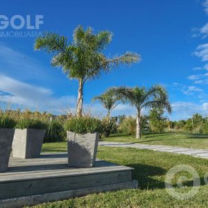 Venta De Terreno, Carrasco Norte