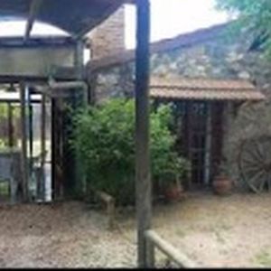 Venta Casa Dos Dormitorios Con Piscina En Playa Grande 
