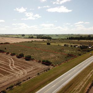 Colonia- 1 Ha. Ruta 1 / Radial Santa Ana