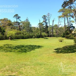 Punta Del Este - Terreno Venta - Piscina - Barbacoa