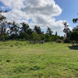 Terreno - Santa Monica