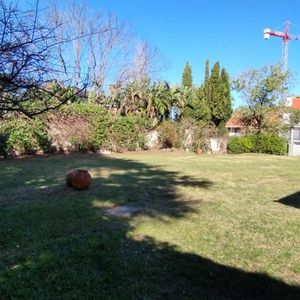 Casa Proximo Puerto Del Buceo Y Wtc, 390 M2 , Terreno De 1288 M2, 9 Ambientes, 4 Garajes !!