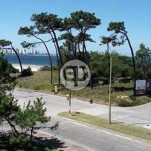 Vista Al Mar.