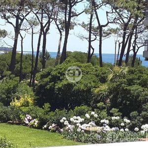 Alquiler Apartamento 1 Dormitorio Y Medio Punta Del Este