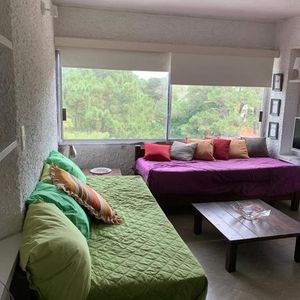 Alquiler Apartamento 1 Dormitorio Punta Del Este