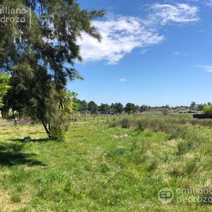Venta Chacra Con Local En Pando