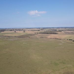 Campo En San Carlos